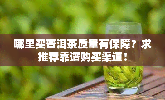 哪里买普洱茶质量有保障？求推荐靠谱购买渠道！