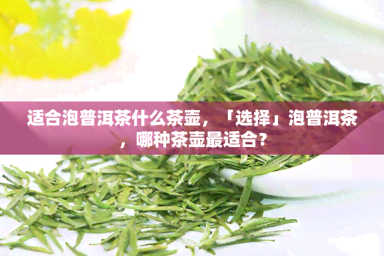 适合泡普洱茶什么茶壶，「选择」泡普洱茶，哪种茶壶最适合？