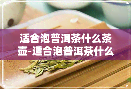 适合泡普洱茶什么茶壶-适合泡普洱茶什么茶壶好