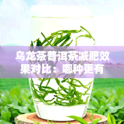 乌龙茶普洱茶减肥效果对比：哪种更有效？