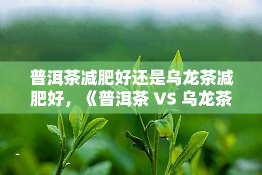 普洱茶减肥好还是乌龙茶减肥好，《普洱茶 VS 乌龙茶：哪种茶更有效助你减肥？》