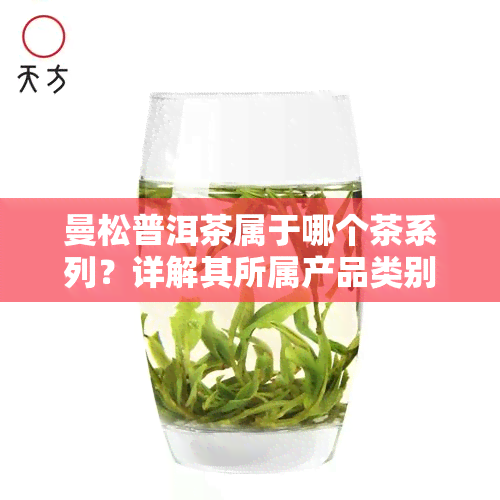 曼松普洱茶属于哪个茶系列？详解其所属产品类别