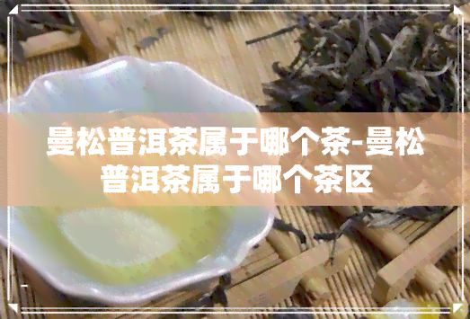 曼松普洱茶属于哪个茶-曼松普洱茶属于哪个茶区