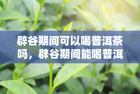 辟谷期间可以喝普洱茶吗，辟谷期间能喝普洱茶吗？