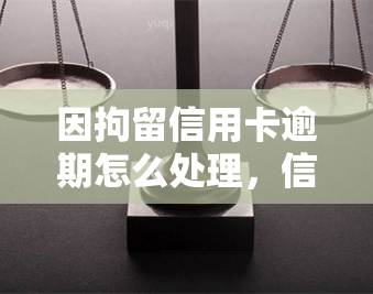 因拘留信用卡逾期怎么处理，信用卡逾期被拘留，如何妥善处理？