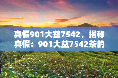 真假901大益7542，揭秘真假：901大益7542茶的鉴别方法