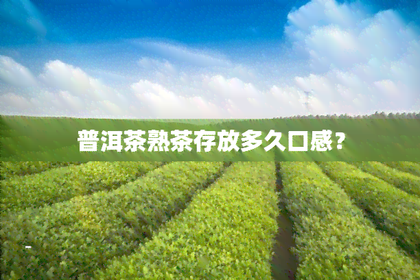 普洱茶熟茶存放多久口感？