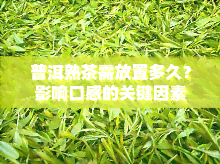 普洱熟茶需放置多久？影响口感的关键因素