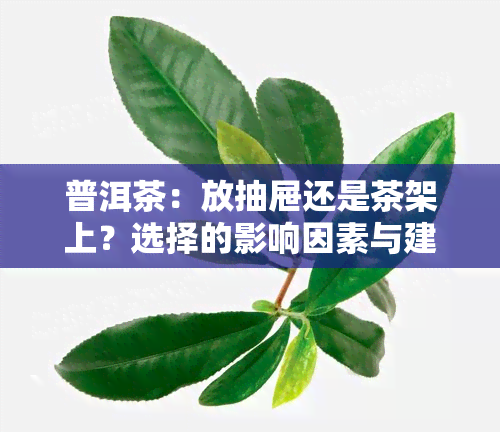 普洱茶：放抽屉还是茶架上？选择的影响因素与建议