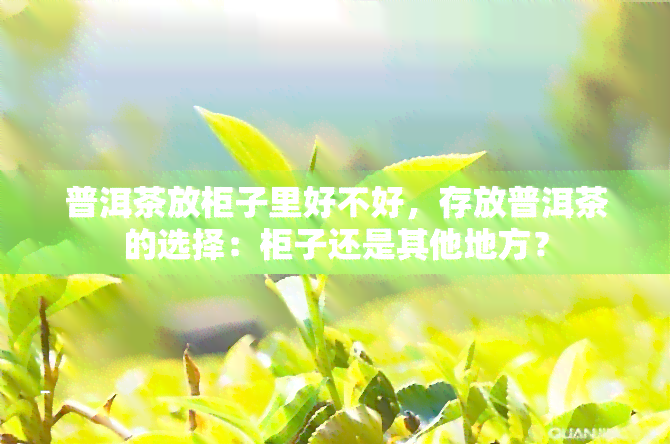 普洱茶放柜子里好不好，存放普洱茶的选择：柜子还是其他地方？