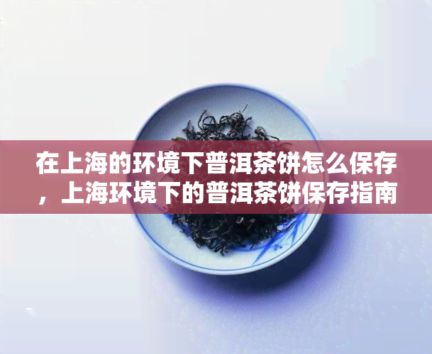 在上海的环境下普洱茶饼怎么保存，上海环境下的普洱茶饼保存指南