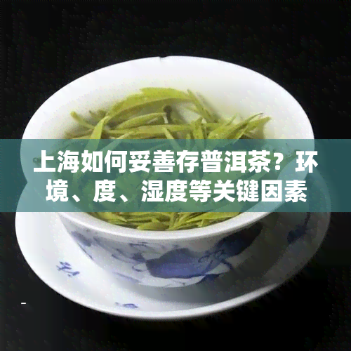 上海如何妥善存普洱茶？环境、度、湿度等关键因素需注意