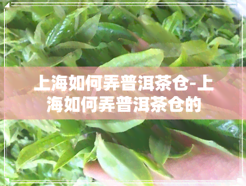 上海如何弄普洱茶仓-上海如何弄普洱茶仓的