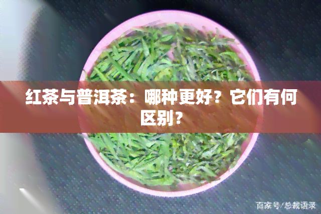 红茶与普洱茶：哪种更好？它们有何区别？