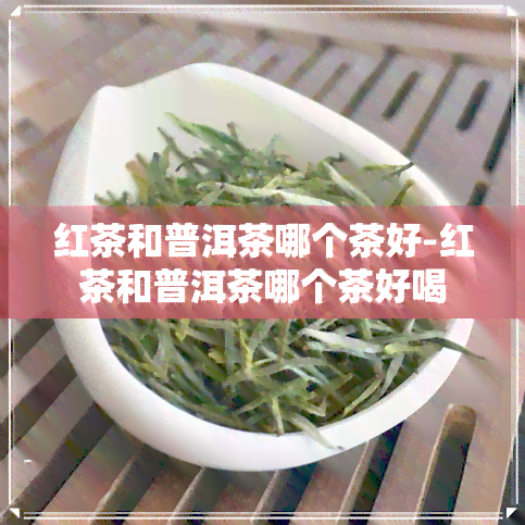 红茶和普洱茶哪个茶好-红茶和普洱茶哪个茶好喝