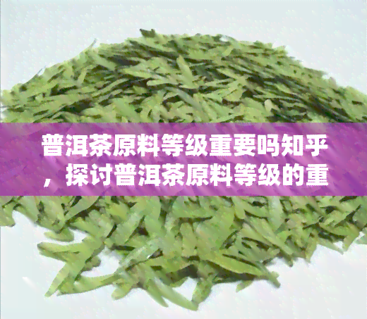 普洱茶原料等级重要吗知乎，探讨普洱茶原料等级的重要性：知乎用户观点解析