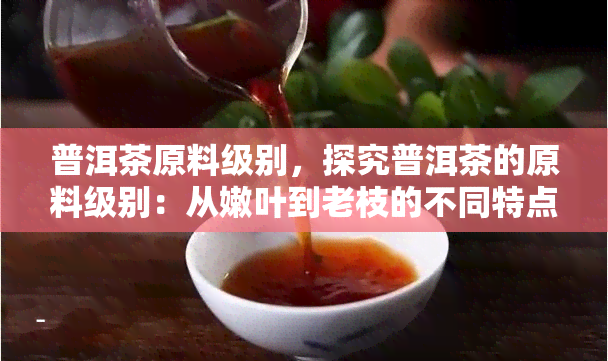 普洱茶原料级别，探究普洱茶的原料级别：从嫩叶到老枝的不同特点