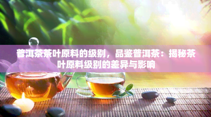 普洱茶茶叶原料的级别，品鉴普洱茶：揭秘茶叶原料级别的差异与影响