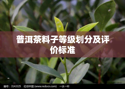 普洱茶料子等级划分及评价标准