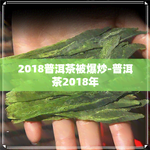 2018普洱茶被爆炒-普洱茶2018年