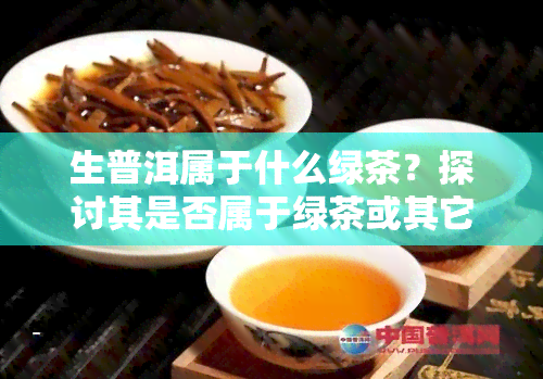 生普洱属于什么绿茶？探讨其是否属于绿茶或其它类型