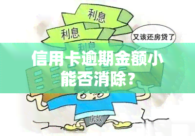 信用卡逾期金额小能否消除？