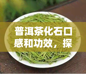 普洱茶化石口感和功效，探究普洱茶化石的口感与神奇功效