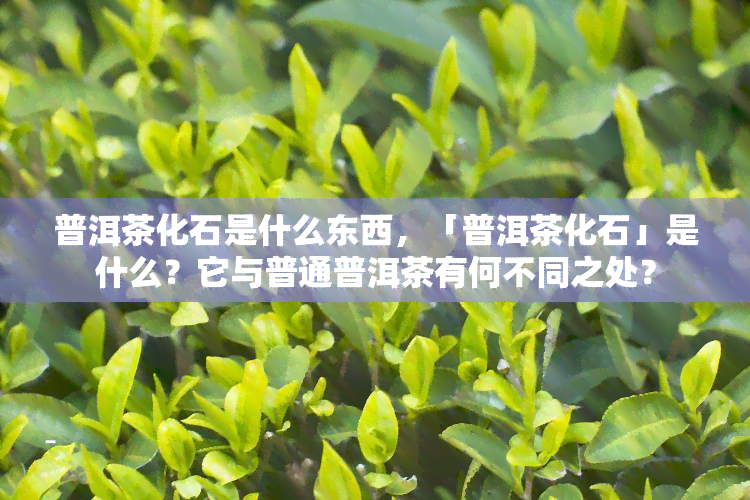 普洱茶化石是什么东西，「普洱茶化石」是什么？它与普通普洱茶有何不同之处？