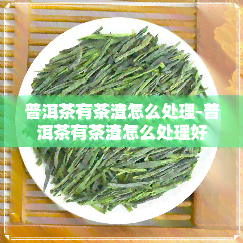 普洱茶有茶渣怎么处理-普洱茶有茶渣怎么处理好