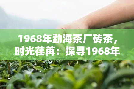 1968年勐海茶厂砖茶，时光荏苒：探寻1968年勐海茶厂砖茶的历与韵味