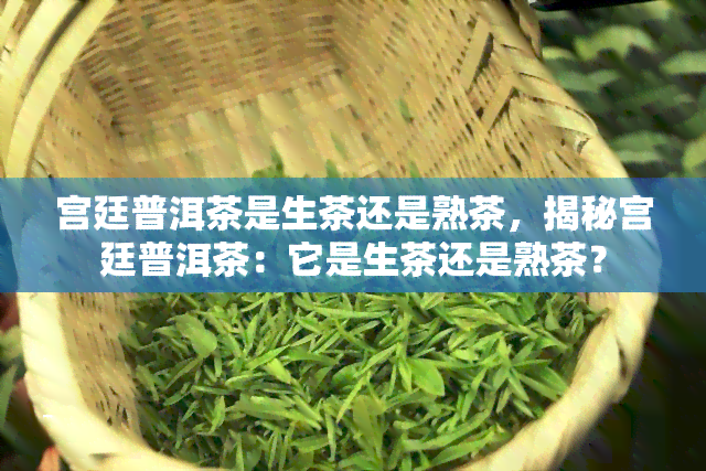 宫廷普洱茶是生茶还是熟茶，揭秘宫廷普洱茶：它是生茶还是熟茶？