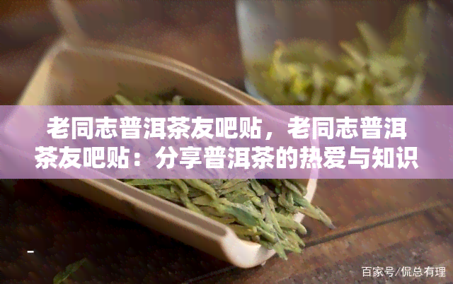 老同志普洱茶友吧贴，老同志普洱茶友吧贴：分享普洱茶的热爱与知识