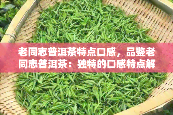 老同志普洱茶特点口感，品鉴老同志普洱茶：独特的口感特点解析