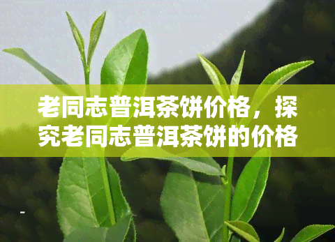 老同志普洱茶饼价格，探究老同志普洱茶饼的价格走势与市场行情