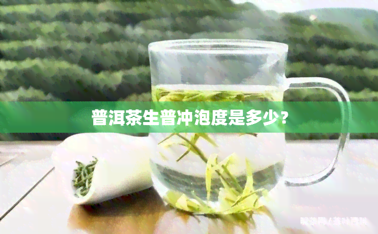 普洱茶生普冲泡度是多少？