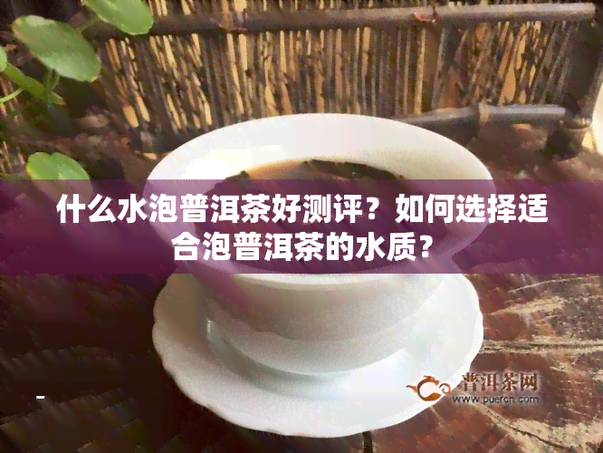 什么水泡普洱茶好测评？如何选择适合泡普洱茶的水质？