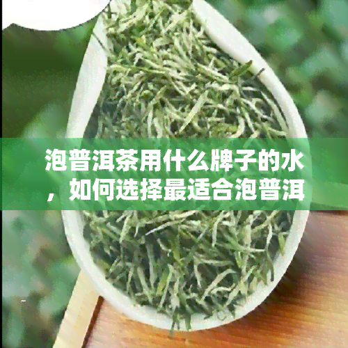 泡普洱茶用什么牌子的水，如何选择最适合泡普洱茶的水质？