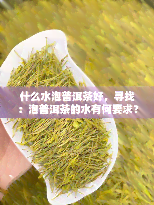 什么水泡普洱茶好，寻找：泡普洱茶的水有何要求？