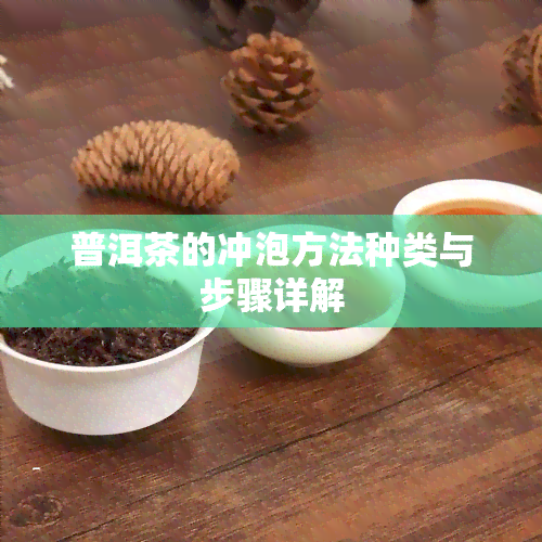 普洱茶的冲泡方法种类与步骤详解