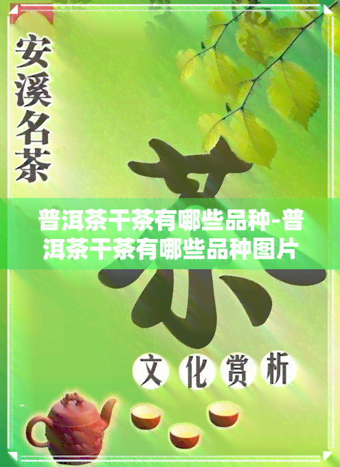 普洱茶干茶有哪些品种-普洱茶干茶有哪些品种图片