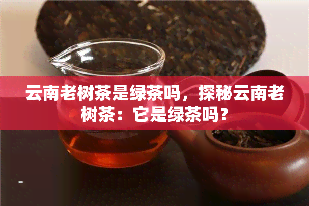 云南老树茶是绿茶吗，探秘云南老树茶：它是绿茶吗？