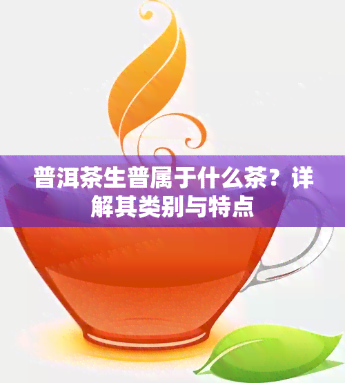 普洱茶生普属于什么茶？详解其类别与特点