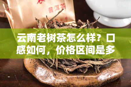 云南老树茶怎么样？口感如何，价格区间是多少？