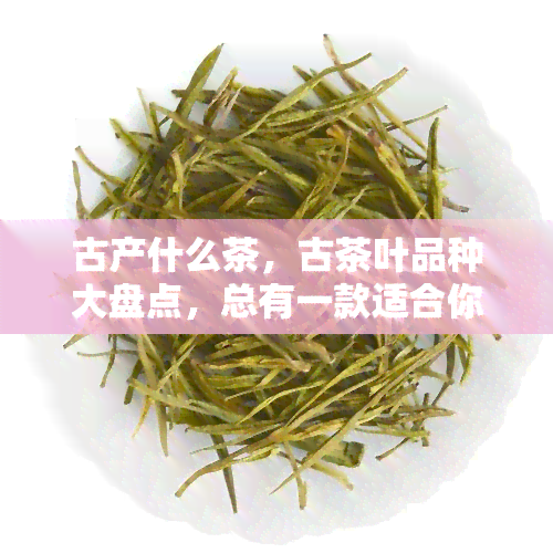 古产什么茶，古茶叶品种大盘点，总有一款适合你！