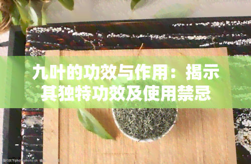 九叶的功效与作用：揭示其独特功效及使用禁忌