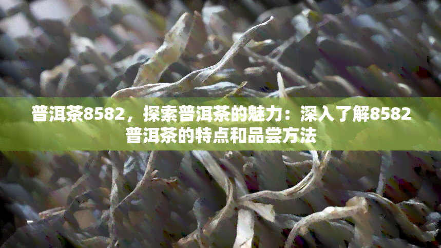 普洱茶8582，探索普洱茶的魅力：深入了解8582普洱茶的特点和品尝方法