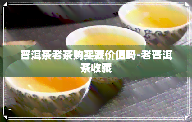 普洱茶老茶购买藏价值吗-老普洱茶收藏