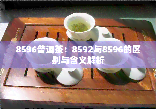 8596普洱茶：8592与8596的区别与含义解析