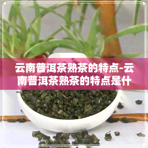 云南普洱茶熟茶的特点-云南普洱茶熟茶的特点是什么