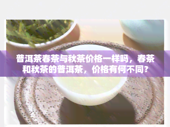 普洱茶春茶与秋茶价格一样吗，春茶和秋茶的普洱茶，价格有何不同？